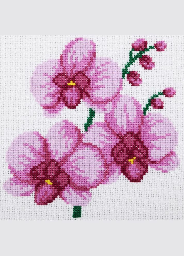 Набір для вишивки акриловими муліне "Орхідея", 15х15 см No Brand (340482599)