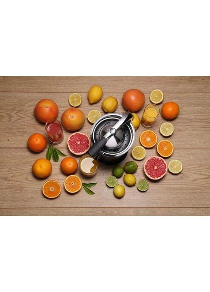 Соковижималка для цитрусових CJ-100-HE 100 Вт Gorenje (328390532)