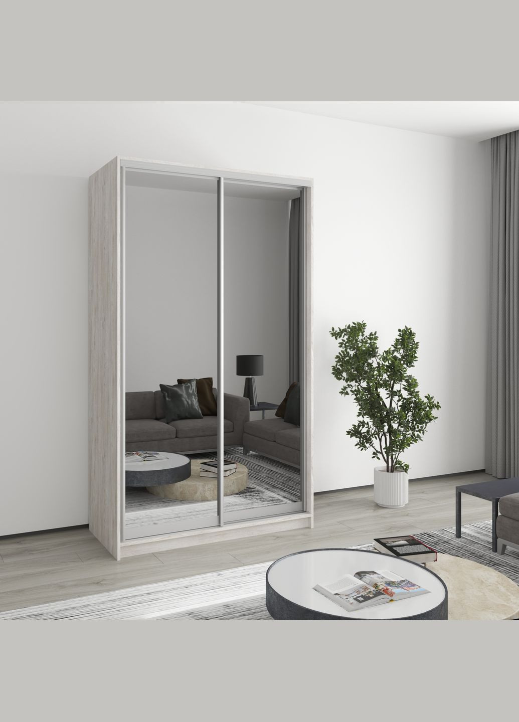 Шафа-купе дводверна Стандарт AL 2 Дзеркала 120x60x210 см Аляска сірий (MBS-2560) MebelStar (346289406)