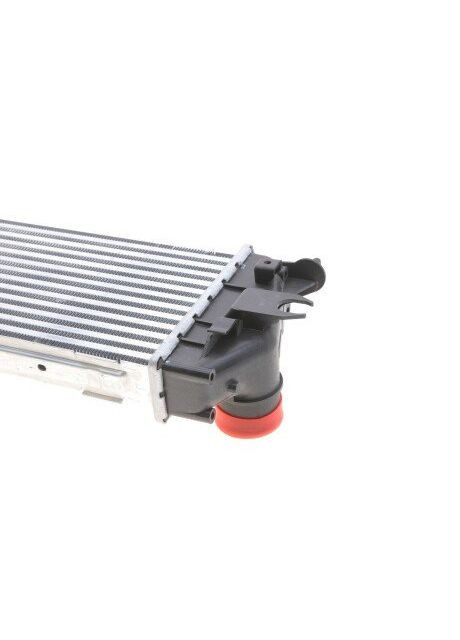 Радиатор интеркулера 43004456 No Brand (345762299)