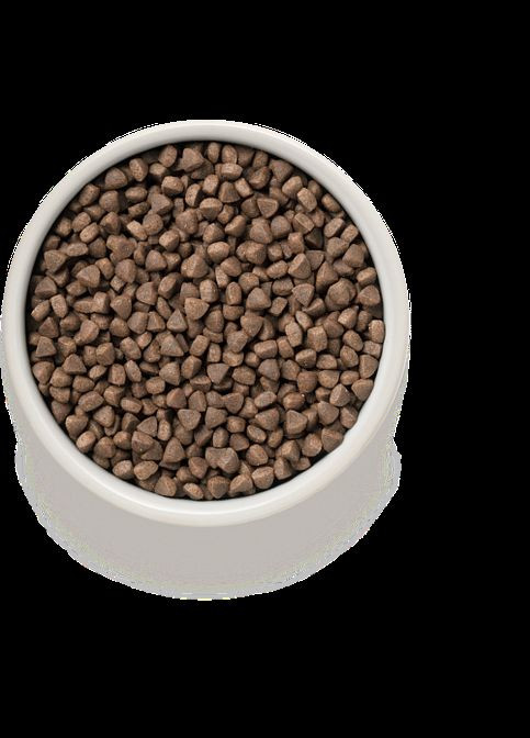 Сухой корм для стерилизованных кошек TURKEY STERILISED индейка, для стерилизованных кошек от 1 года, 2 кг Grandorf (306442416)