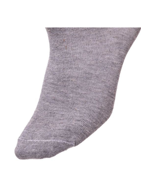 Шкарпетки спортивні чоловічі високі M054 (нейлон, бавовна,, Сірий) Champion (354703004)