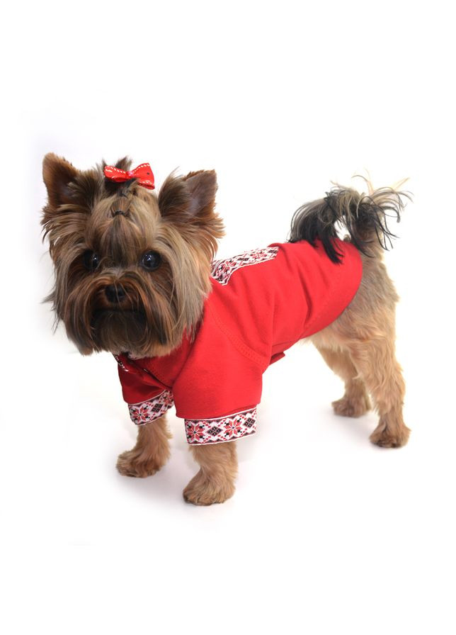Рубашка Вышиванка для собак красная Тойтерьер 25х34 см Zoo-hunt (280851641)