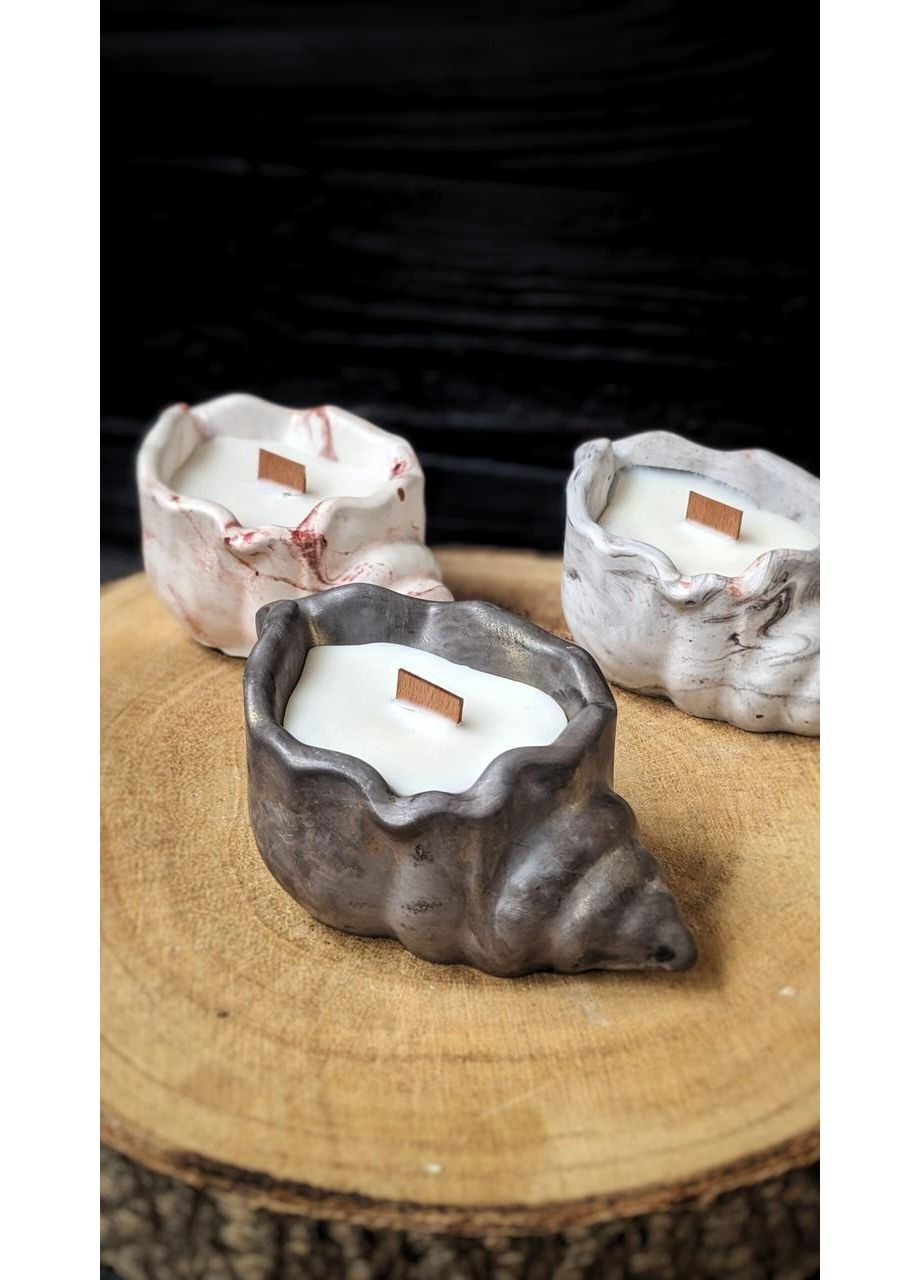 Гипсовое кашпо Мушля S No Brand (352777628)