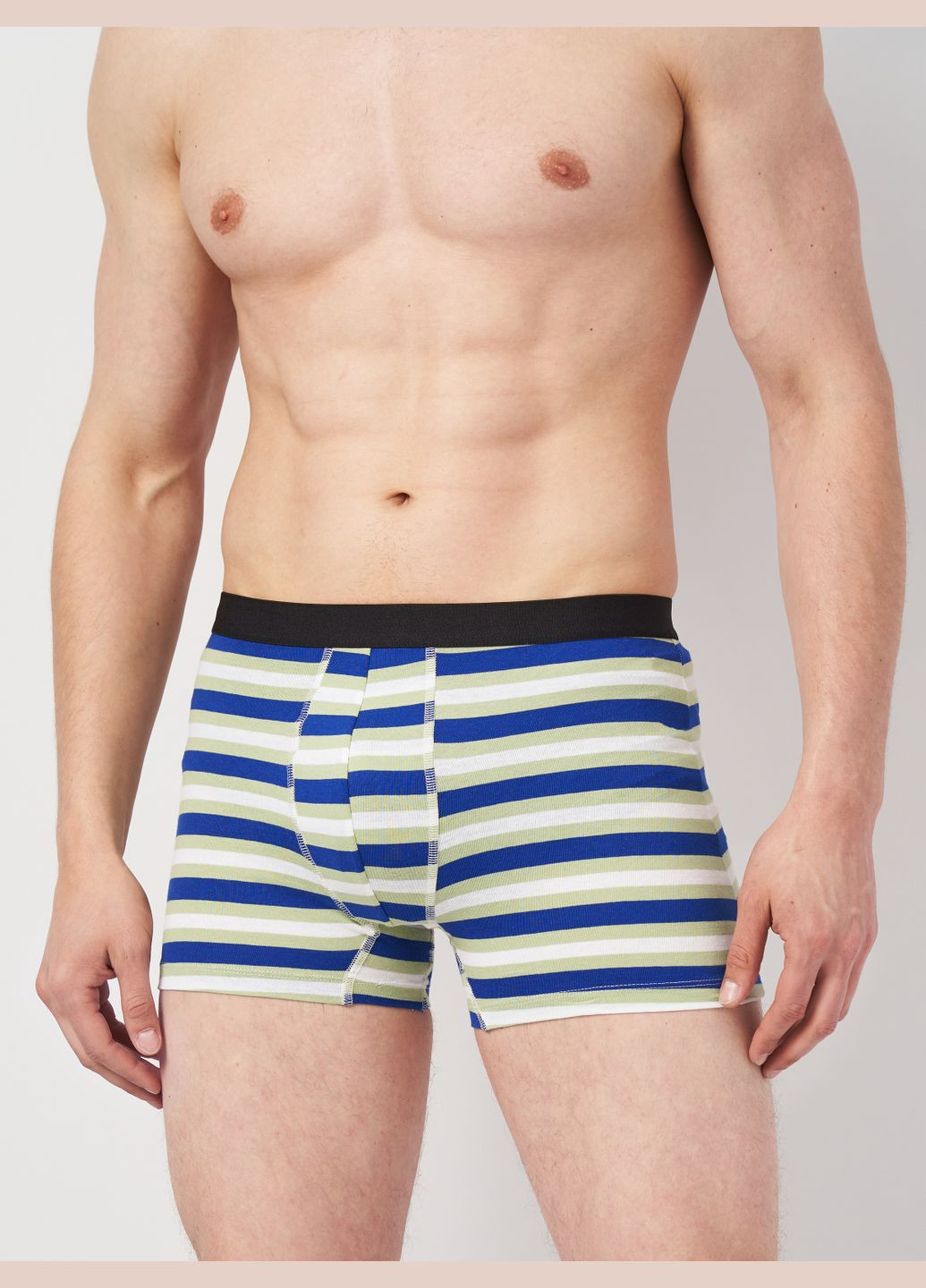 Труси (3шт) Basic Collection (295079675)