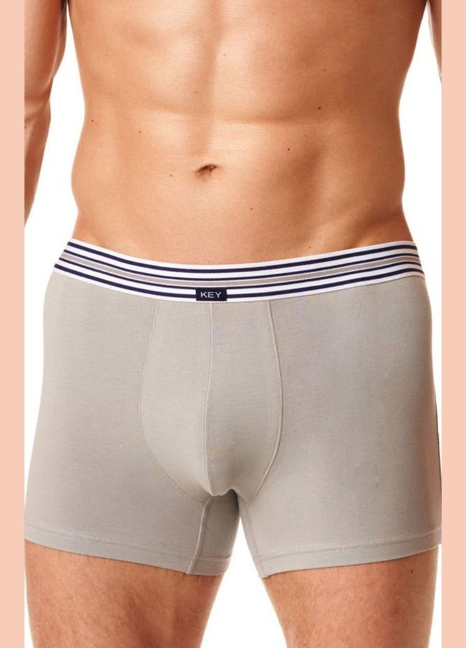 Мужские трусы шорты SZORTY MXH-273 B22 SZ р. Key Боксери (301363091)