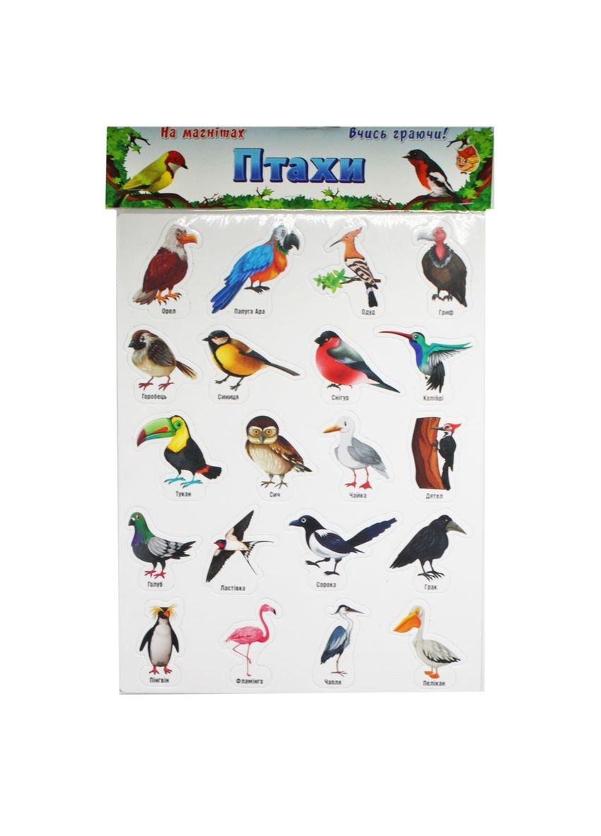 Набір магнітів "Птахи" на планшеті, 20 штук (укр) MIC (292252034)