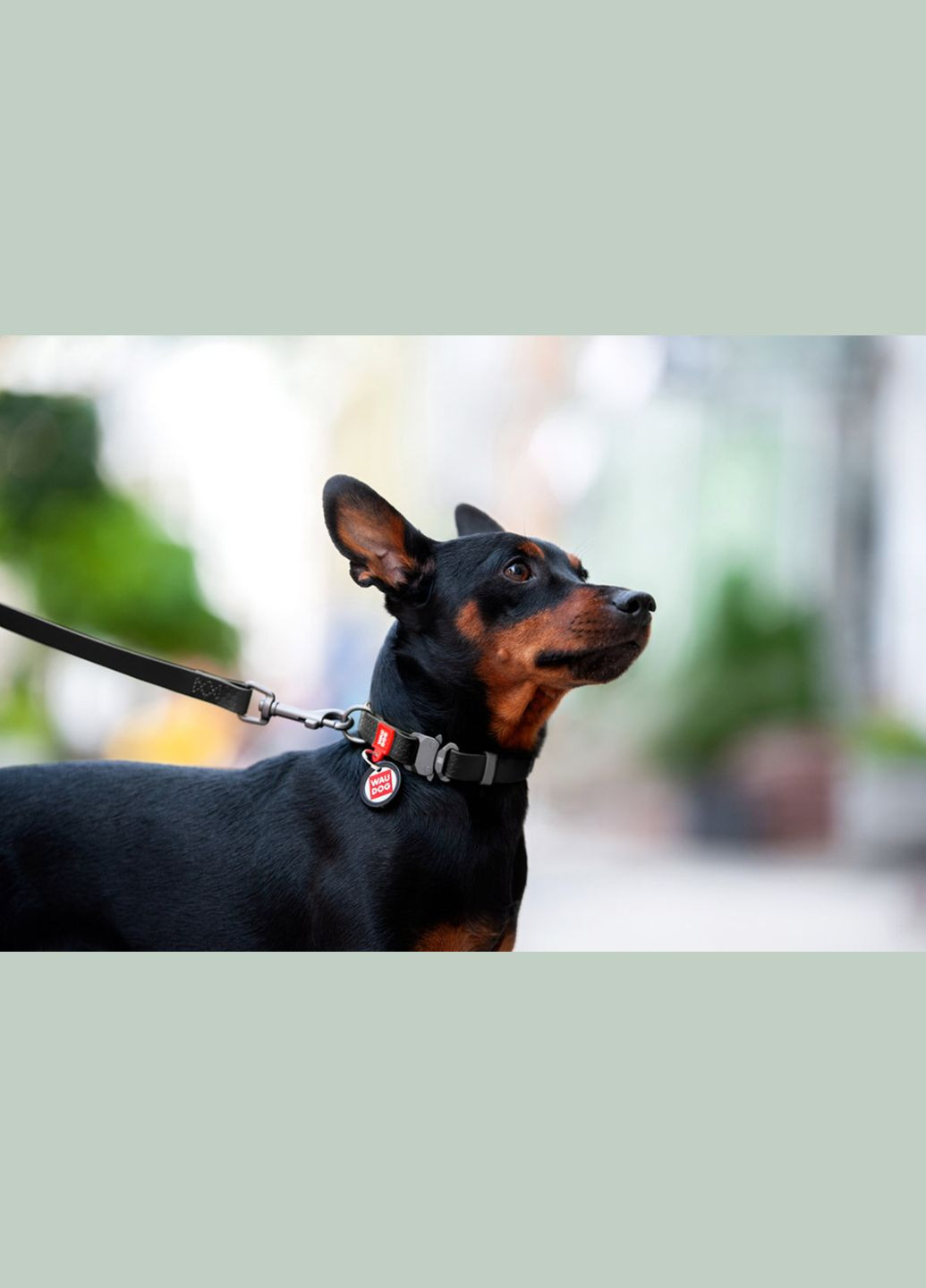 Ошейник для собак водостойкий Waterproof c QR-паспортом, металлическая пряжка-фастекс, Ш 25 мм, Дл 34-49 см черный WAUDOG (322328517)