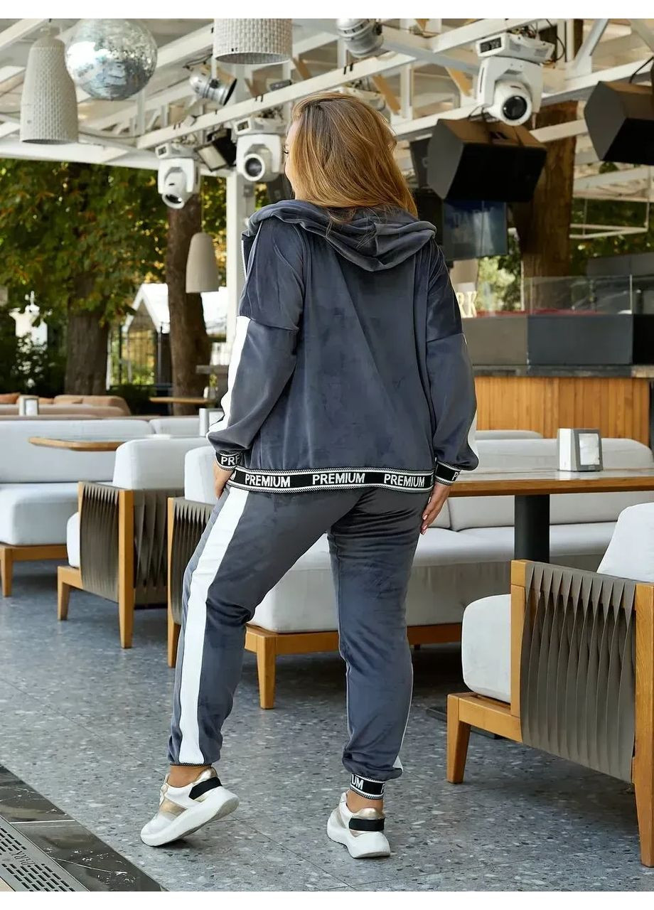 Жіночий велюровий спортивний костюм з капюшоном Premium No Brand (365858544)