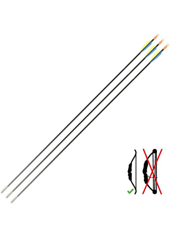 Стрелы для Лука из Карбона 32 дюйма (81 см) со Стальным Наконечником 3шт GEOLOGIC (348117230)