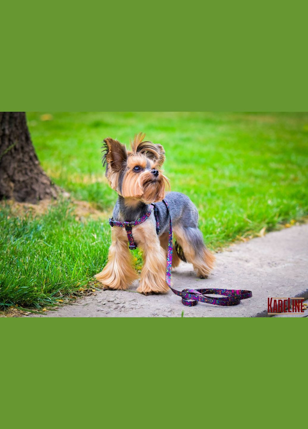 Шлея з нейлону з візерунком "KALEIDOSCOPE" та пластиковою пряжкою 10 мм А:240-300 мм, В:260-400 мм Kareline (339075223)