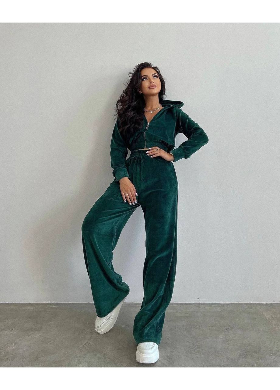 Женский спортивный костюм из мягкого велюра Україна (361071509)