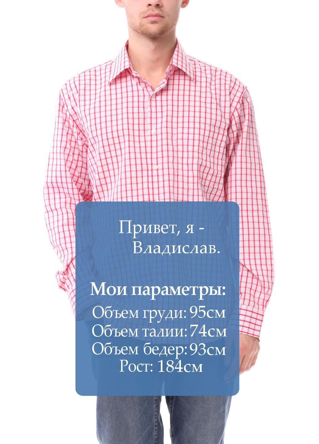 Красная повседневный рубашка в клетку Aldo & Co