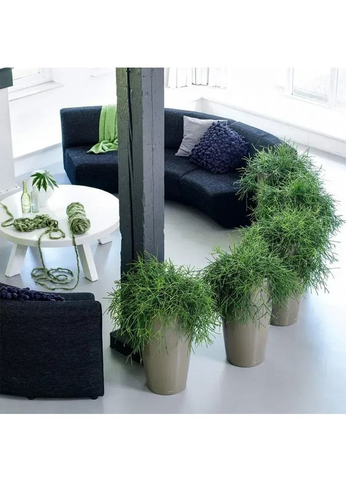 Кашпо Rondo 32 біле матове 15786 Lechuza (351346646)