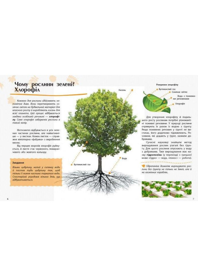 Растения. Открываем мир. Котенко Елена РАНОК (349838412)