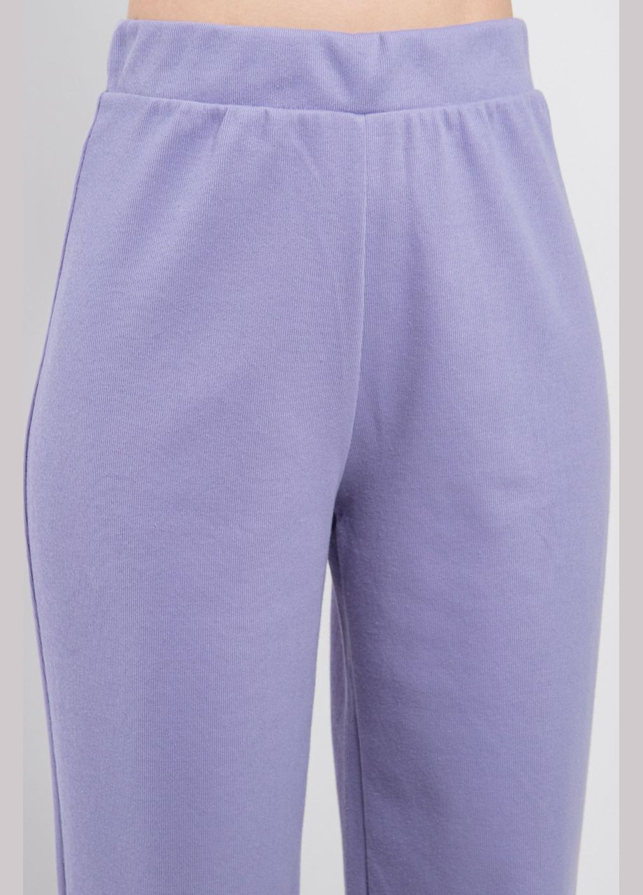 Фиолетовые демисезонные брюки Modna KAZKA