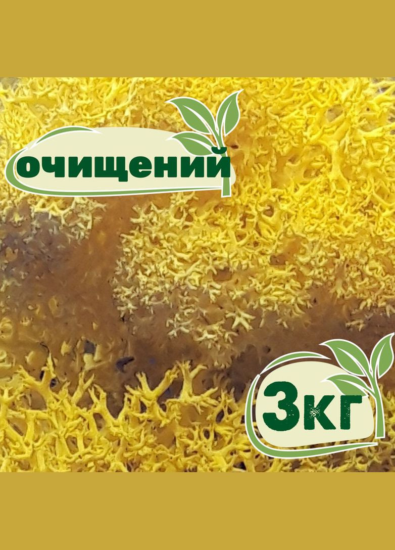 Очищенный стабилизированный мох ягель Желтый лимонный 3 кг Nordic moss (276401147)
