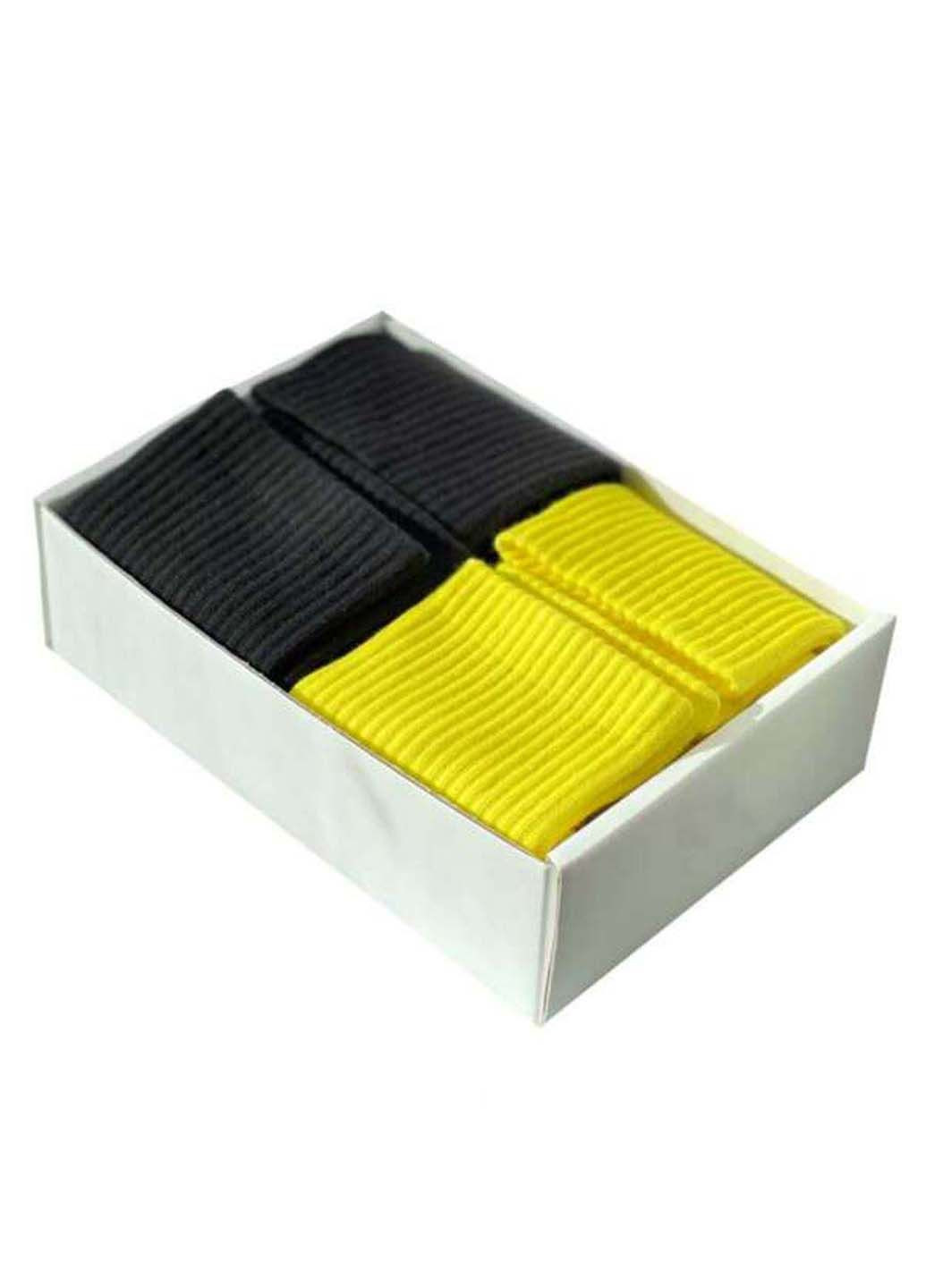 Комбіновані чоловічі шкарпетки 1and1 (348467017)