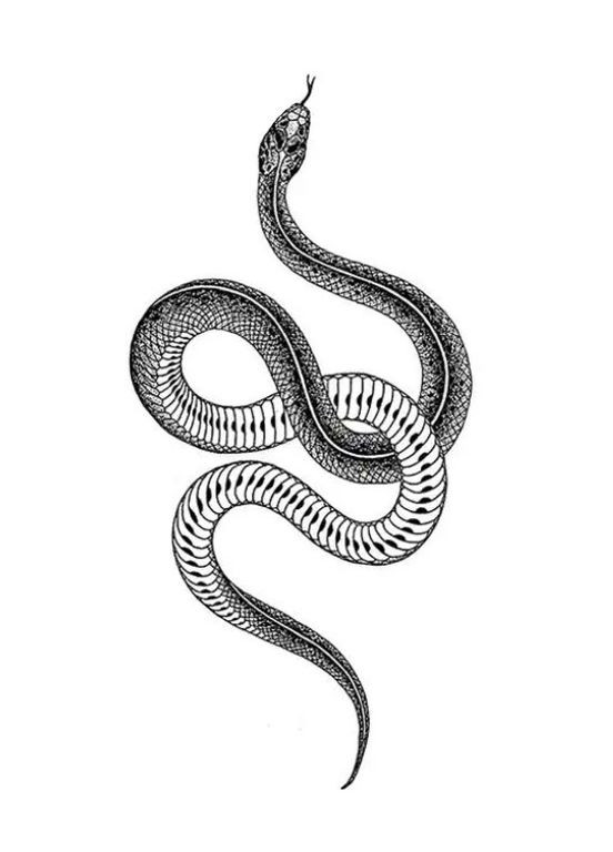 Тимчасове водостійке тату, наклейка SQ-274 змія, 10,5x6 см No Brand (298414362)