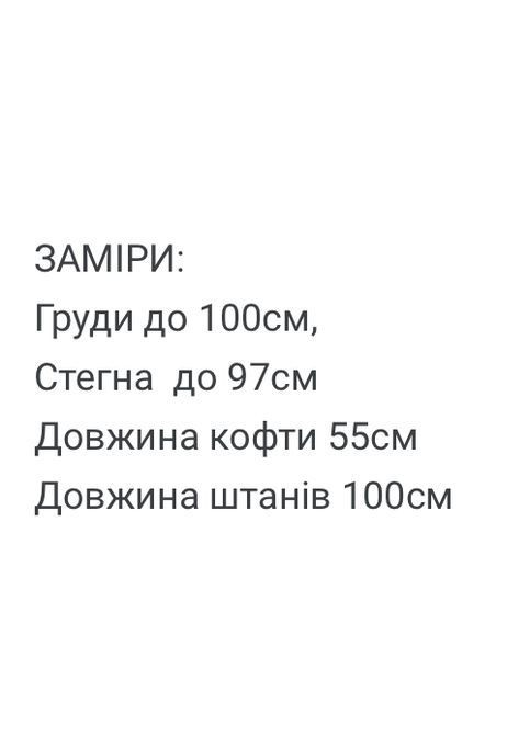 Жіночий теплий спортивний костюм FINO Mode (367049066)