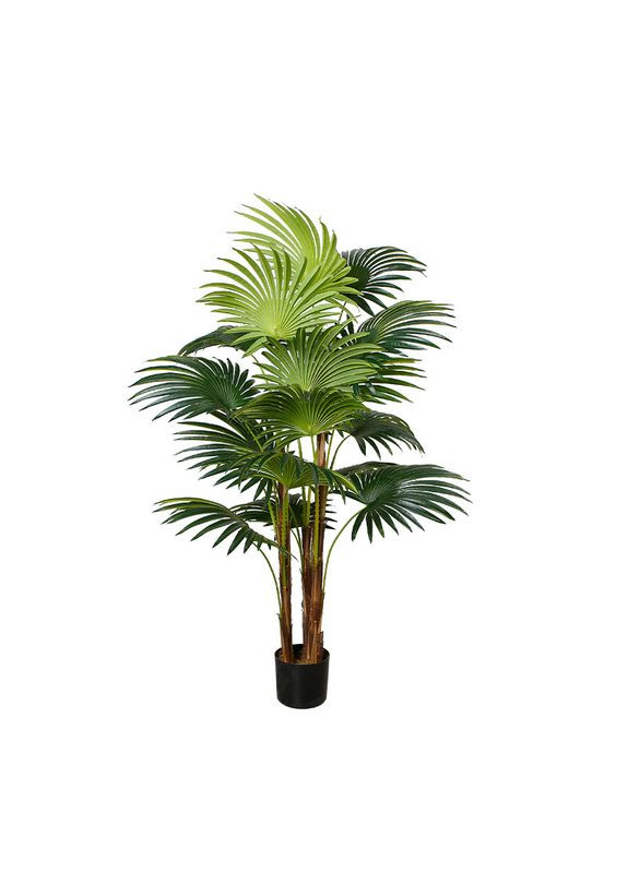 Искусственное растение Cycas Palm, 150 см (DW-23) Engard (284742362)