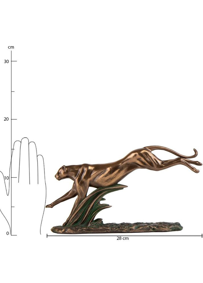Миска Veronese (346533497)