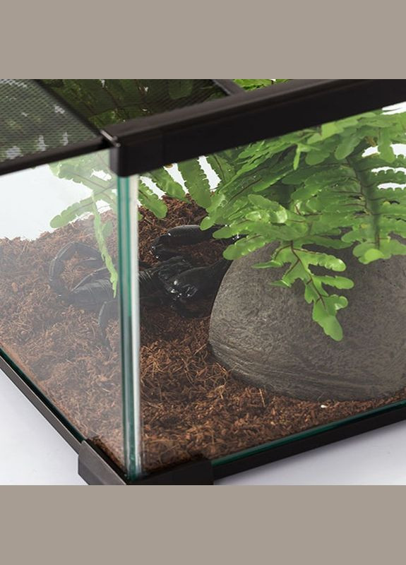 Тераріум 21x21x15см (AK01BG) Repti-Zoo (321970540)