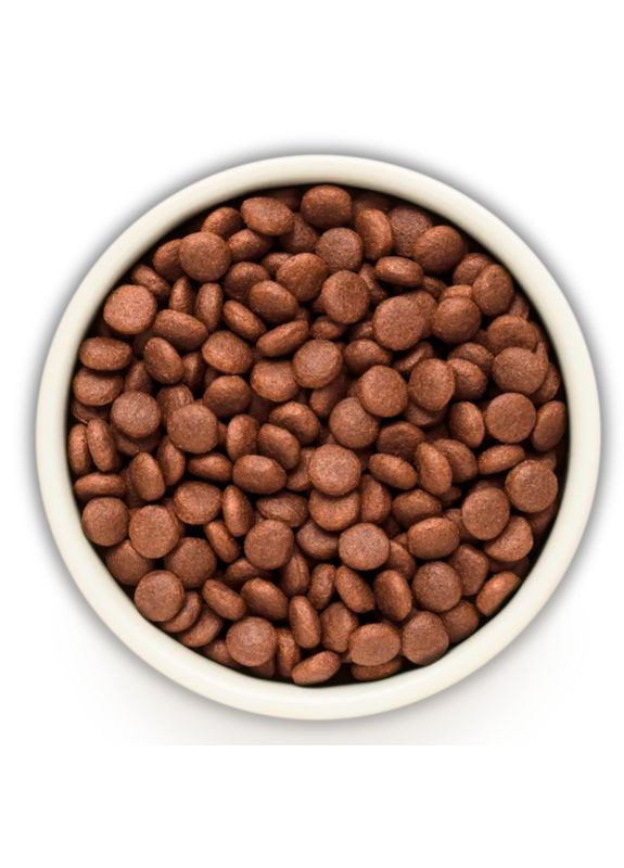 Сухий корм для собак Індичка для дорослих собак середніх та великих порід 10 кг Grandorf (346476330)