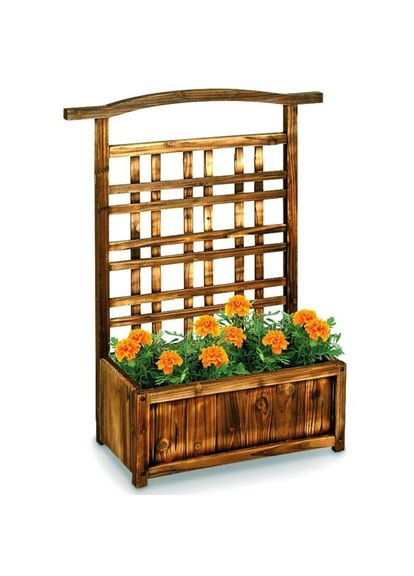 Кашпо зі шпалерою з дерева Драпонг мускат (КШР-003107) No Brand (328961045)