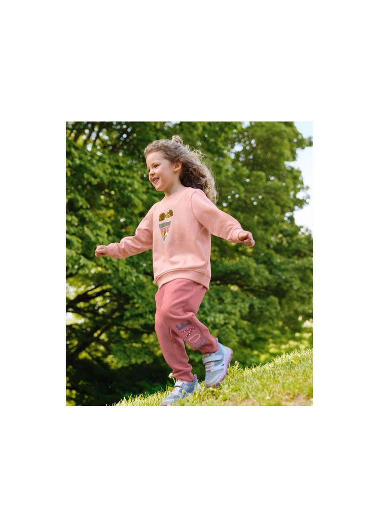 Кофта (свитшот) для девочки, утепленная Lupilu (362315725)