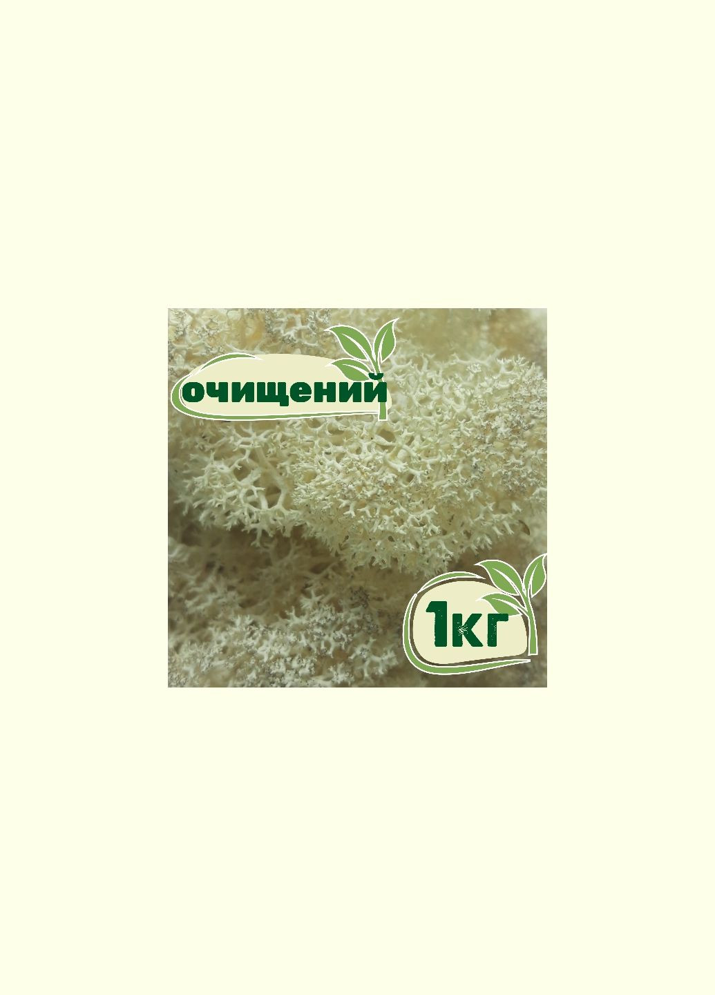 Очищений стабілізований мох ягель Натуральний білий 1 кг Nordic moss (278652074)