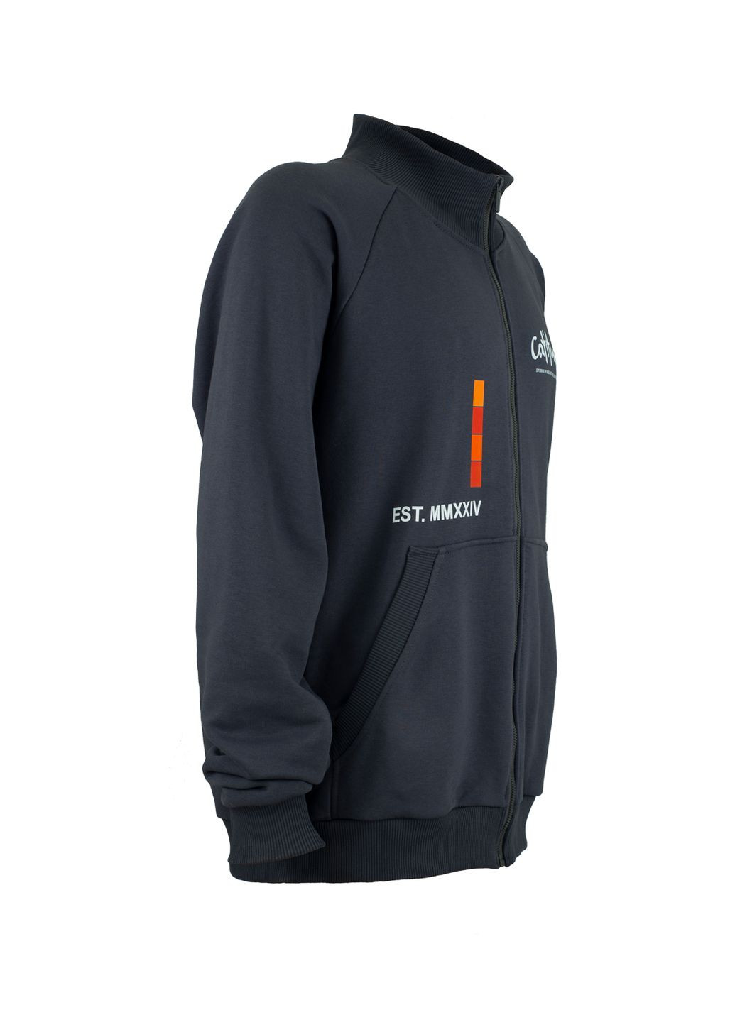 Костюм спортивний чоловічий Макс тринитка футер сірий грі, з принтом Catitude (DTG) роз. 2XL 4PROFI (316090843)