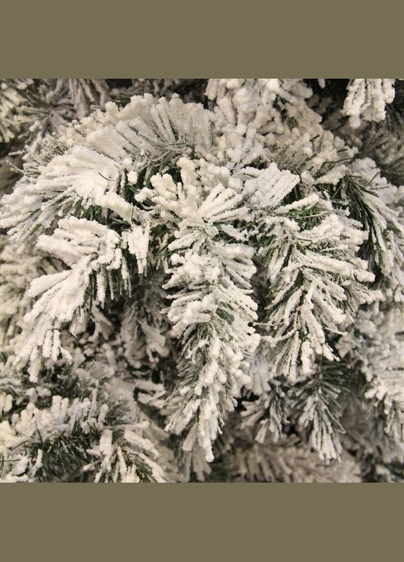 Вінок ø 45 см декоративний Dinsmore Frosted зелений зі снігом Black Box (329407200)