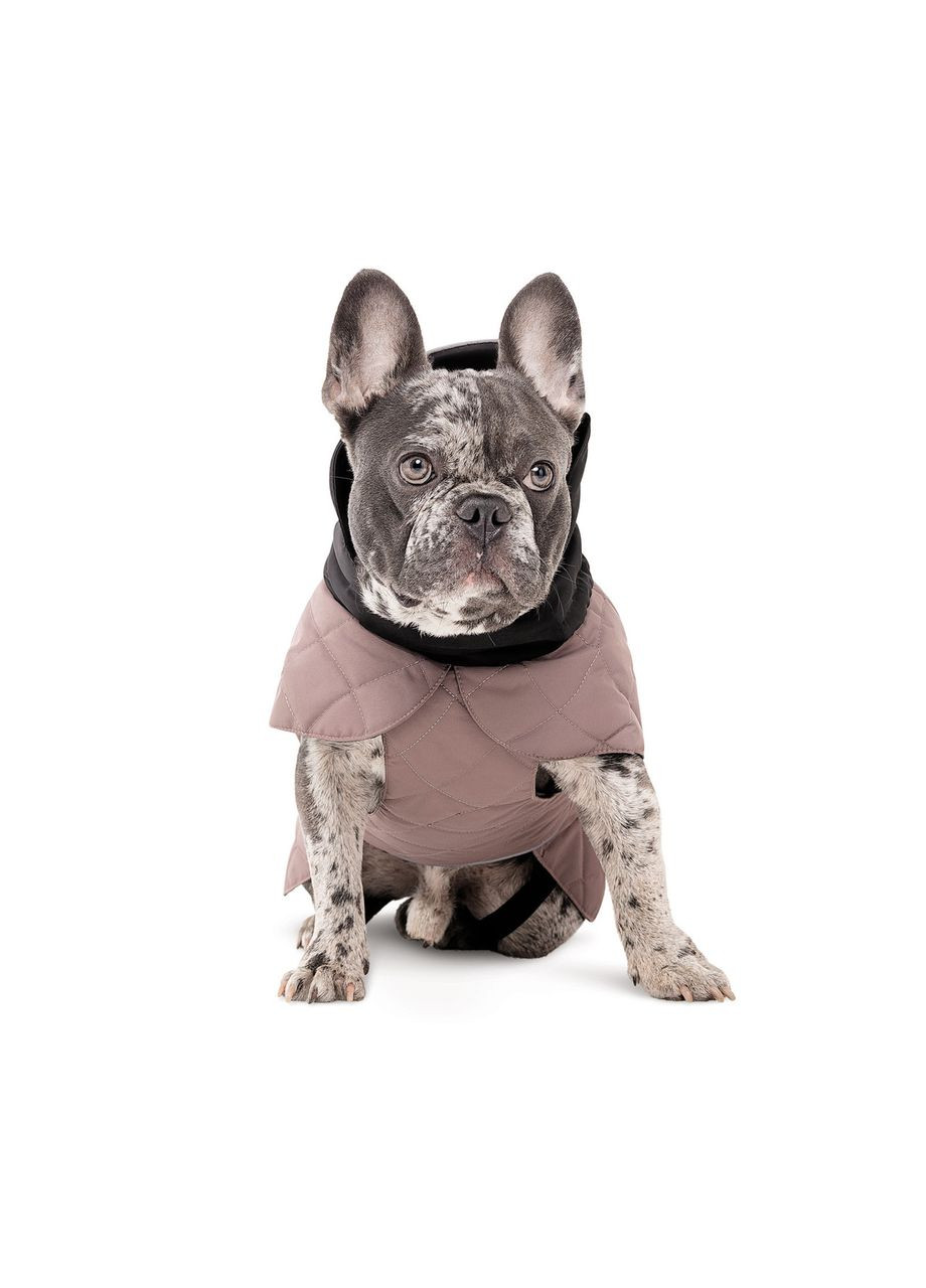 Попона Max для собак M такса Pet Fashion (365593398)