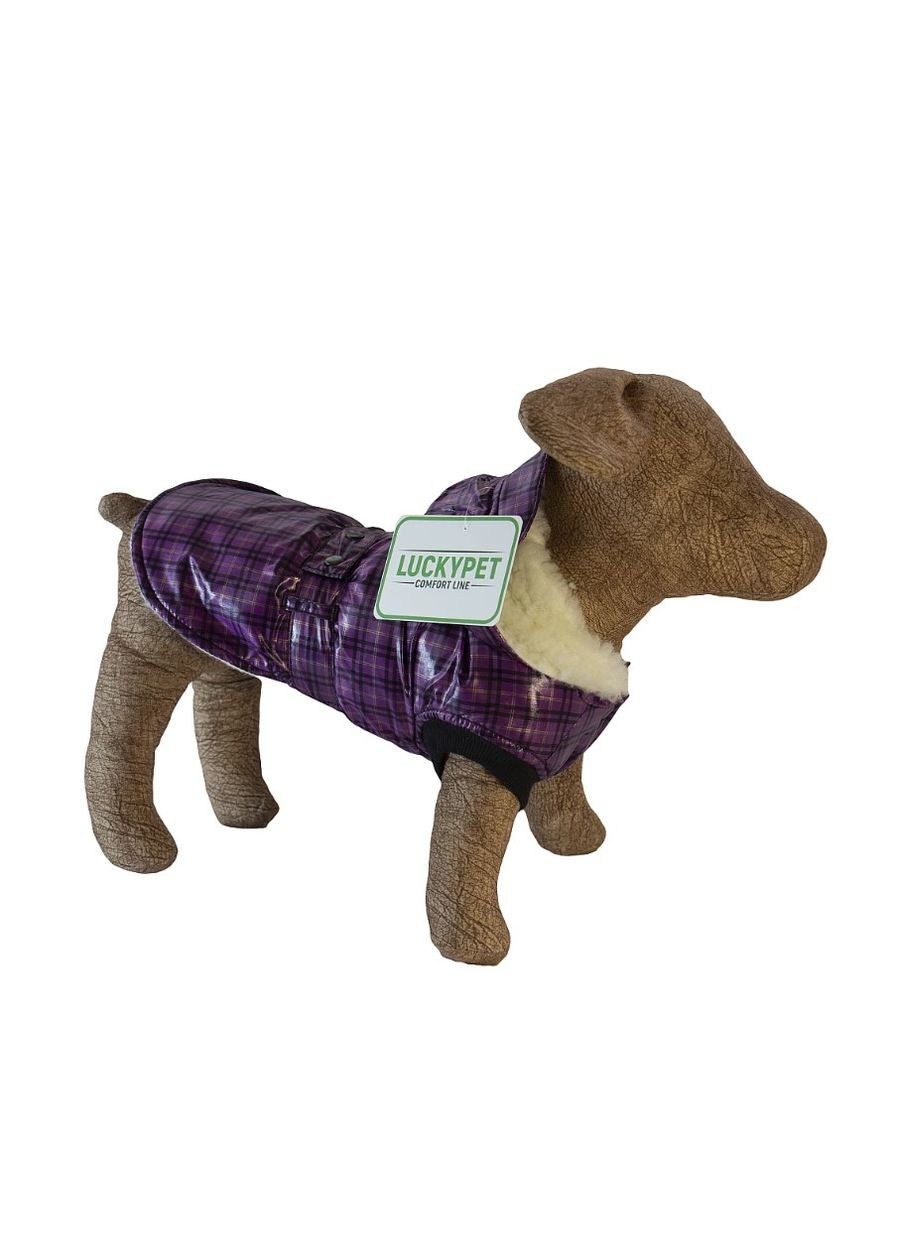 Жилет Живчик для породи Той Тер'єр бузковий №1 (6820479483077) Lucky Pet (318101031)