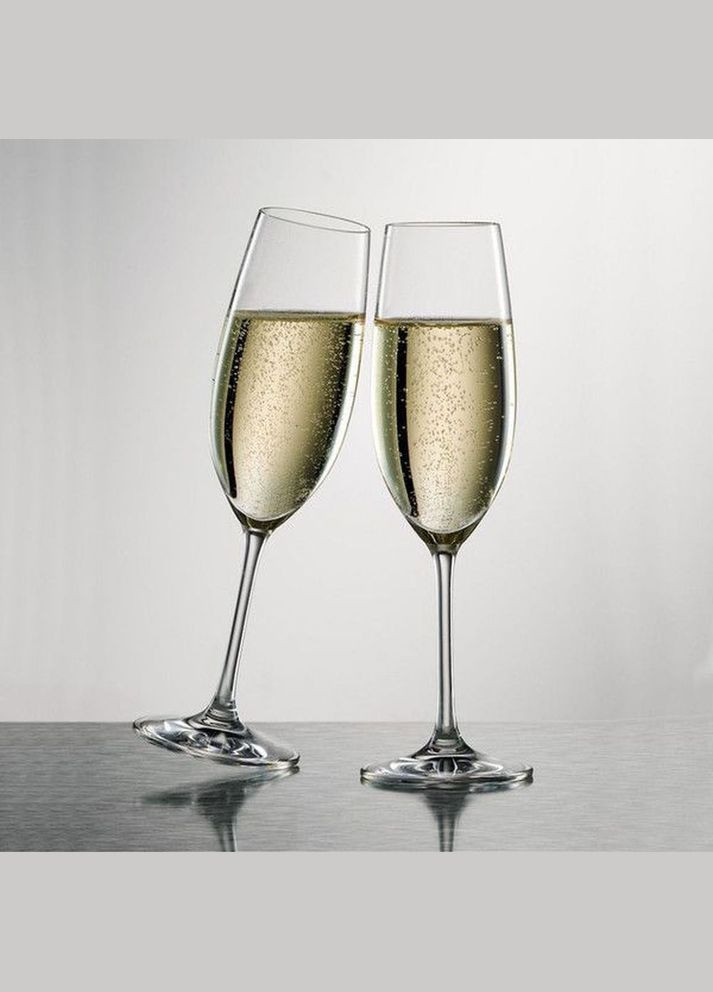 Комплект бокалов для шампанского Ivento 228 мл 6 шт Schott Zwiesel (316625714)