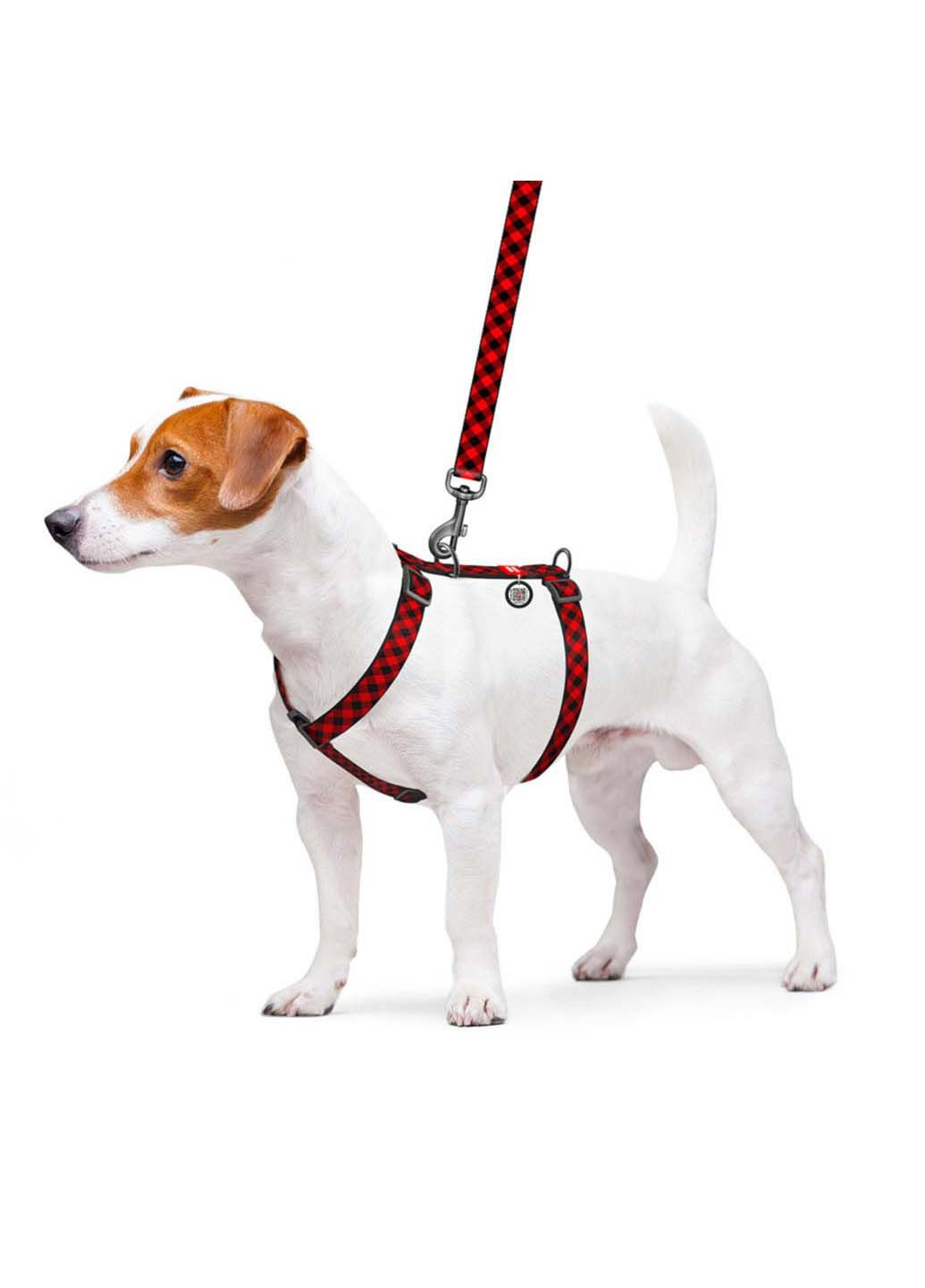 Шлея для собак анатомическая H-образная Nylon Шотландка пластиковый фастекс L Ш 25 мм А 50-90 В 60-100 WAUDOG (292175488)