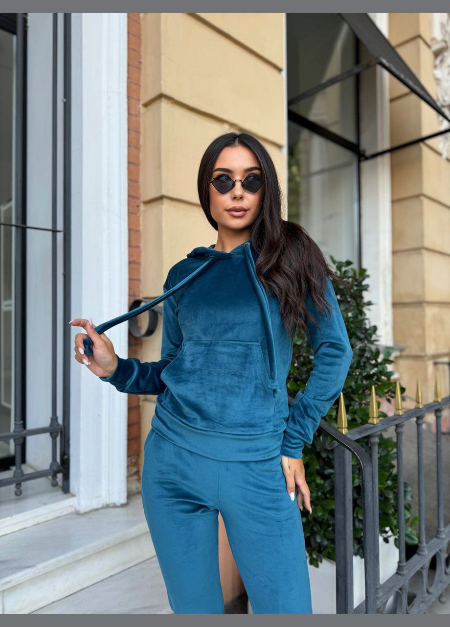 Спортивний велюровий костюм LeVi (316466741)