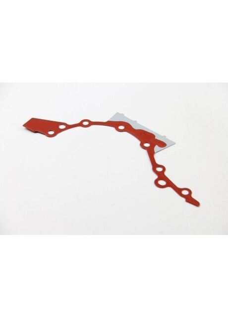 Прокладка водяного насоса 1,5dci Kangoo II (08-) (8200741290) Renault (366130413)