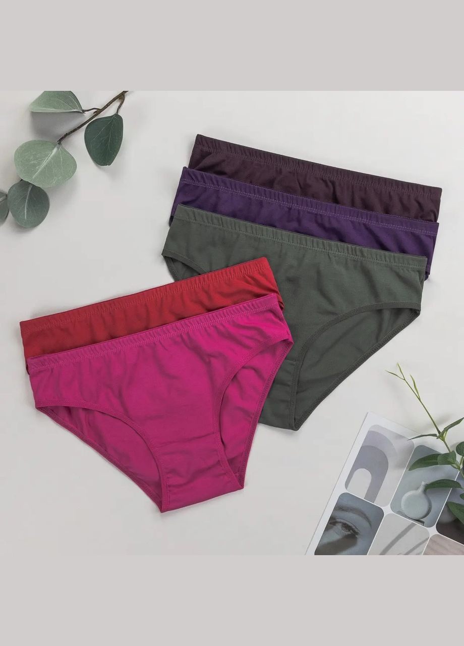 Набор женских трусиков 5 шт Nicoletta (304549563)