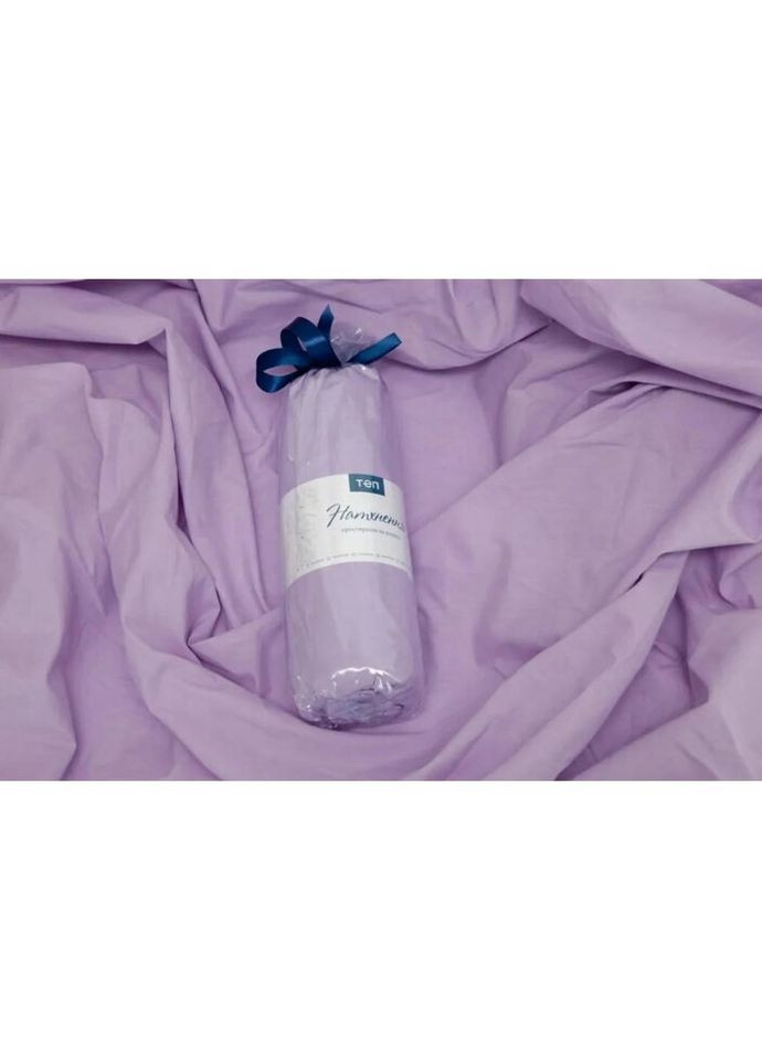 Простирадло-чохол на гумці односпальна Натхнення 2-04020-26820 90х200 см блакитна ТЕП (335583899)