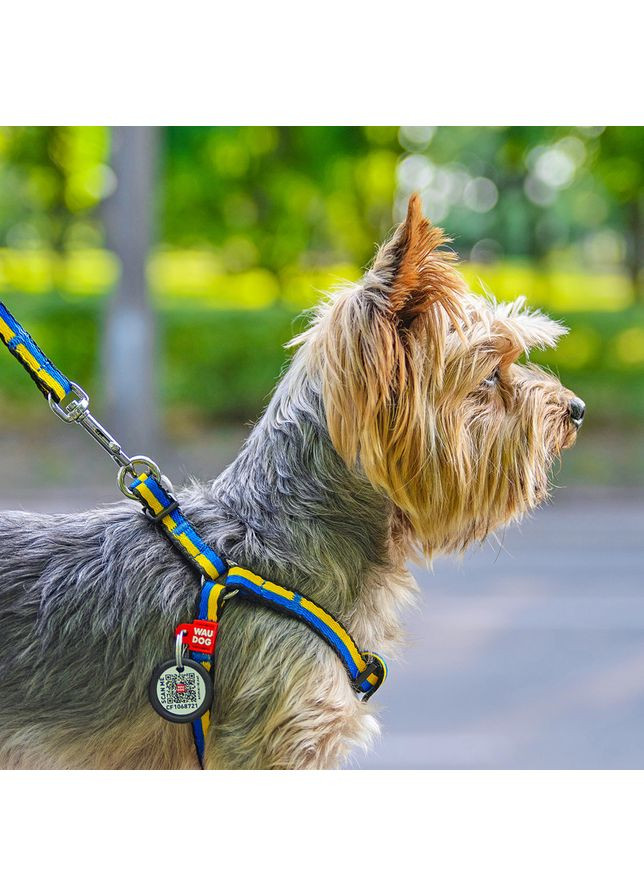 Шлея для котов и мелких пород собак WAUDOG Nylon с QR паспортом, рисунок "Colors of freedom", пластиковый фастекс,, Ш 10 мм, No Brand (363197582)