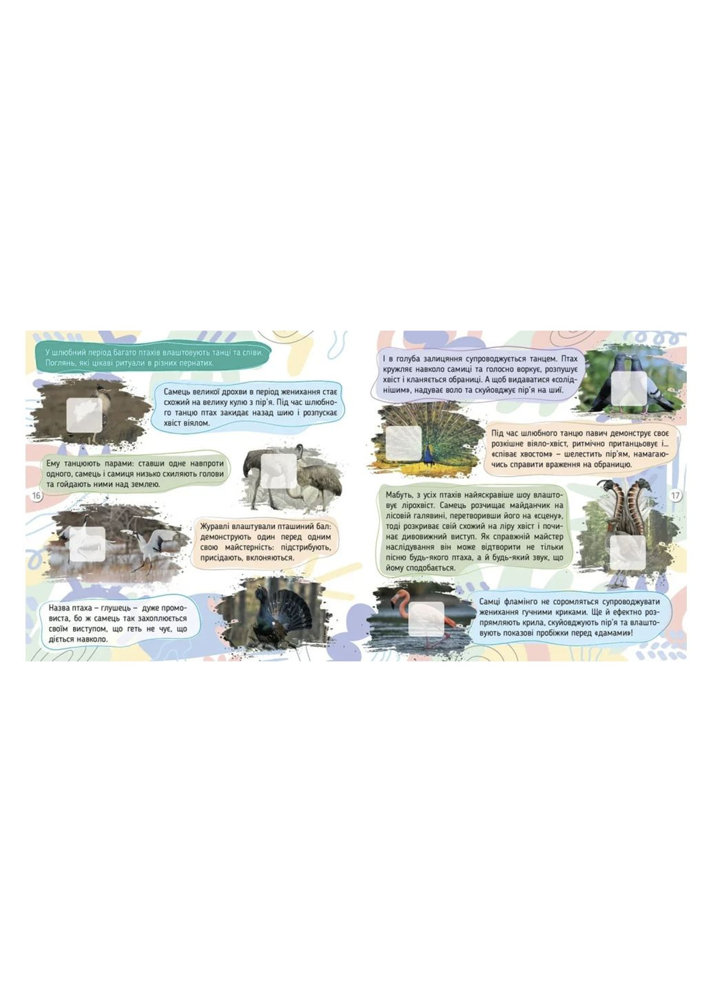 Насекомые. 100 интересностей цвет разноцветный ЦБ-00283377 Талант (351284084)