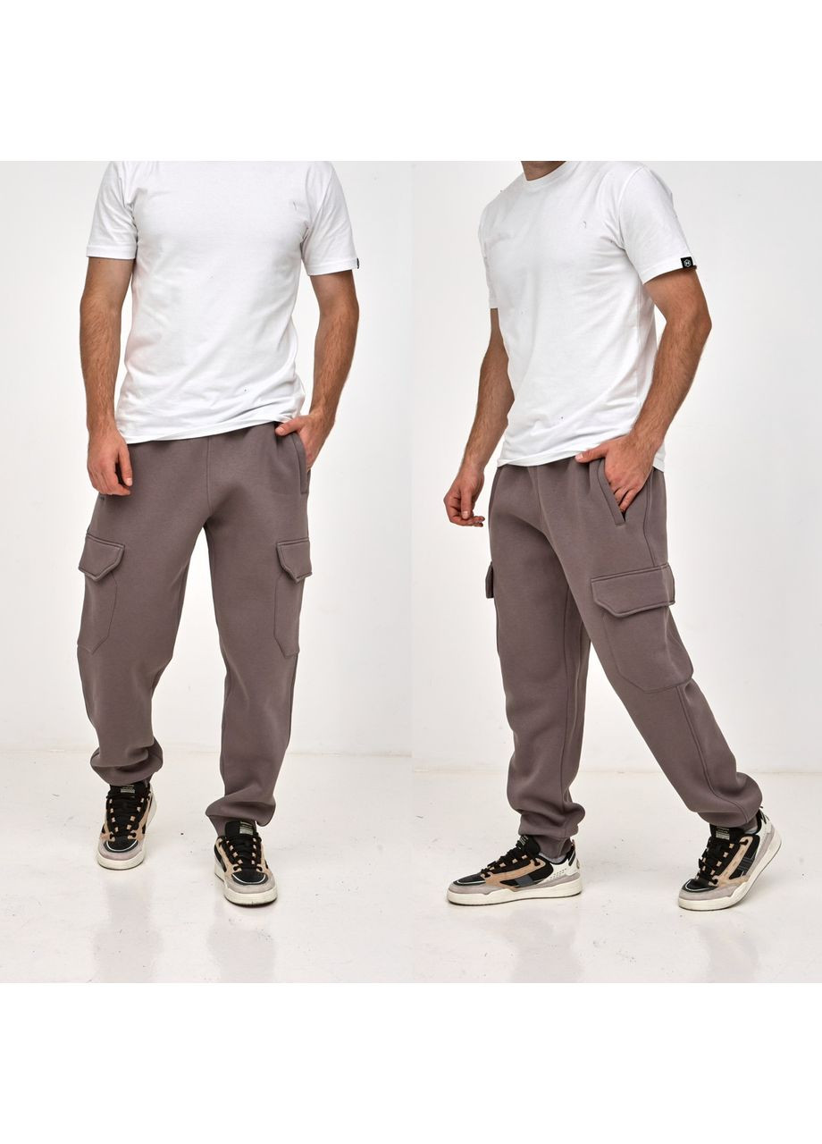 Серые зимние брюки Hector