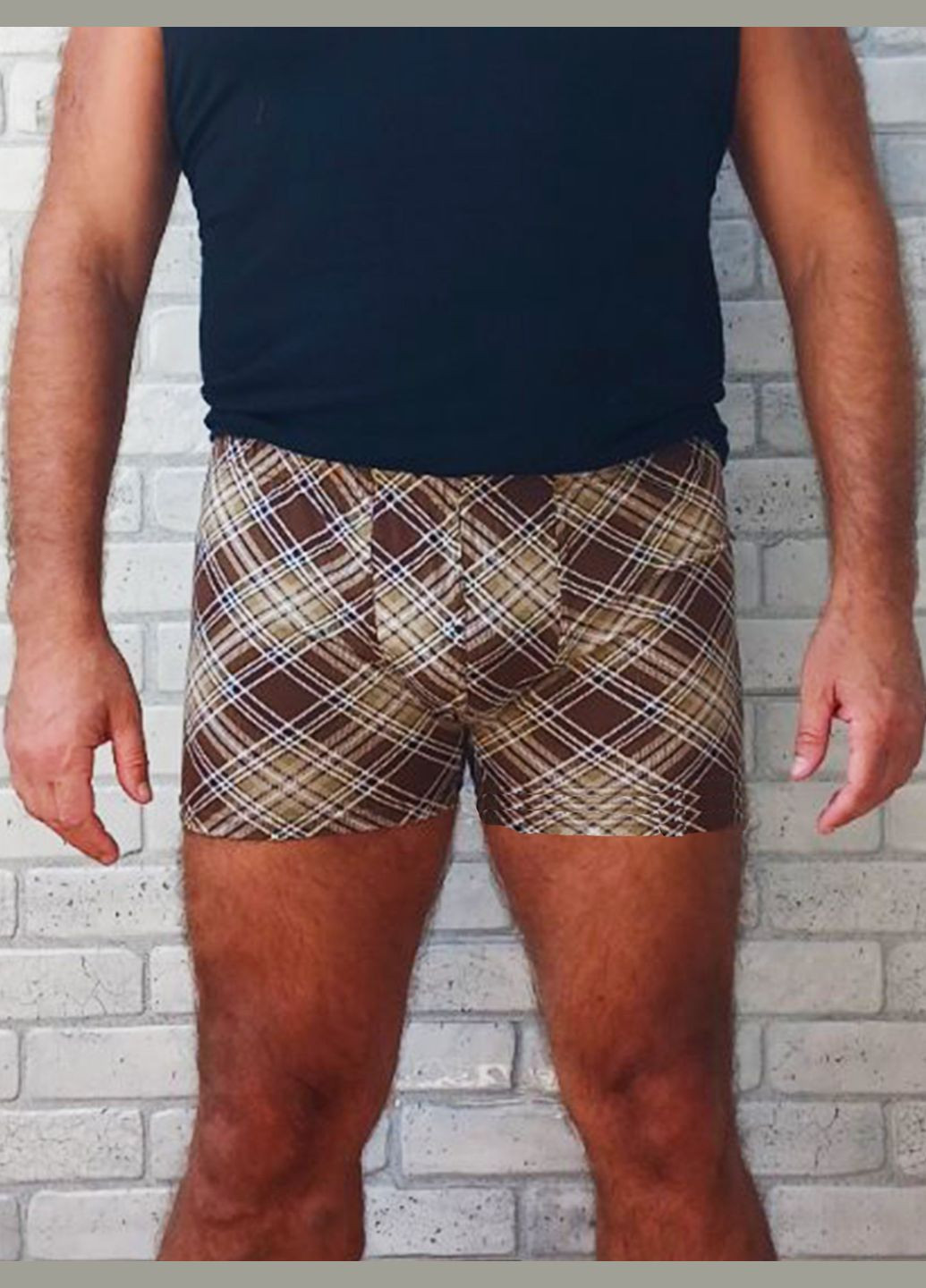 Боксери чоловічі великого розміру, короткі в клітину кавові, бамбук No Brand (319616419)
