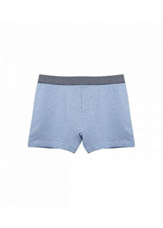 Трусы боксеры с рисунком Полоска Donella Боксери (313426802)