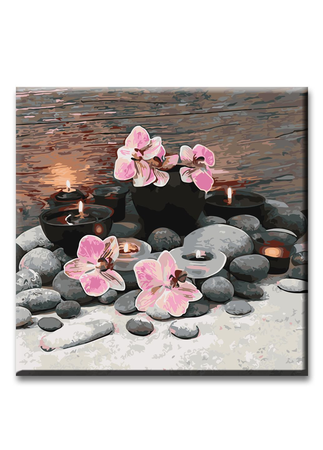 Картина за номерами 30*30 см Орхідеї ArtStory (293517153)