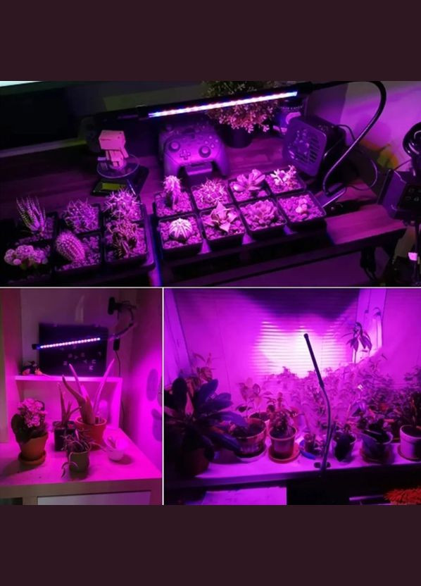 Розовая фито лампа для растений светодиодная Plant Grow Light 3 цвета на прищепке от USB, на 3 лампы Po Fanu (322924869)