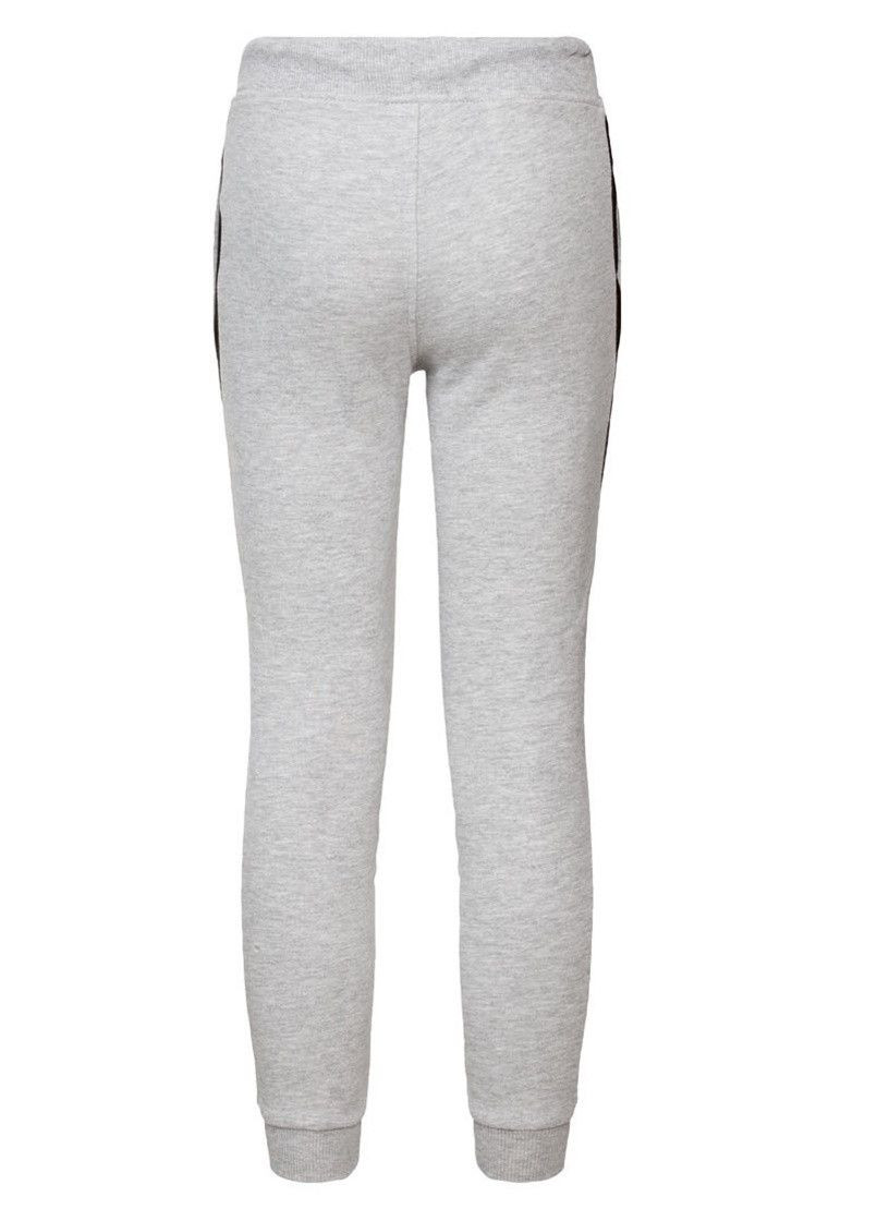 Светло-серые спортивные демисезонные брюки джоггеры Lidl