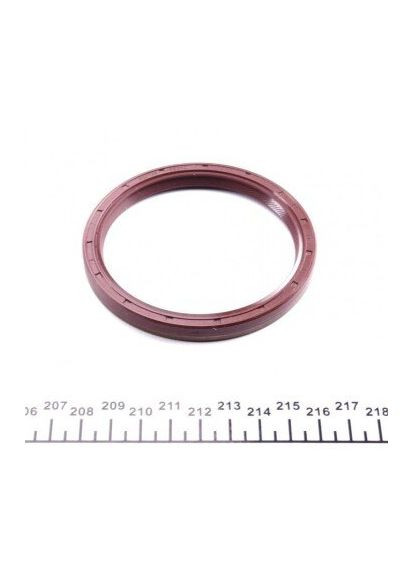 Уплотняющее кольцо REINZ 81-36644-00 Victor Reinz (345783827)